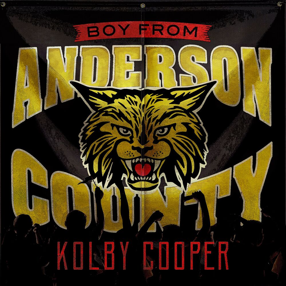 Picture of Boy From Anderson County - EP