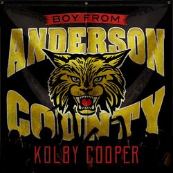 Cover of Boy From Anderson County