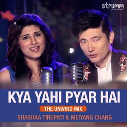 Cover of Kya Yahi Pyar Hai (The Unwind Mix)