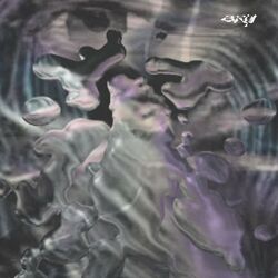 Cover of Water Sign