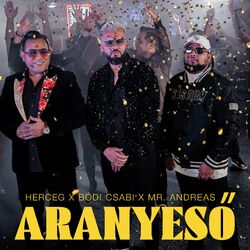 Cover of Aranyeső