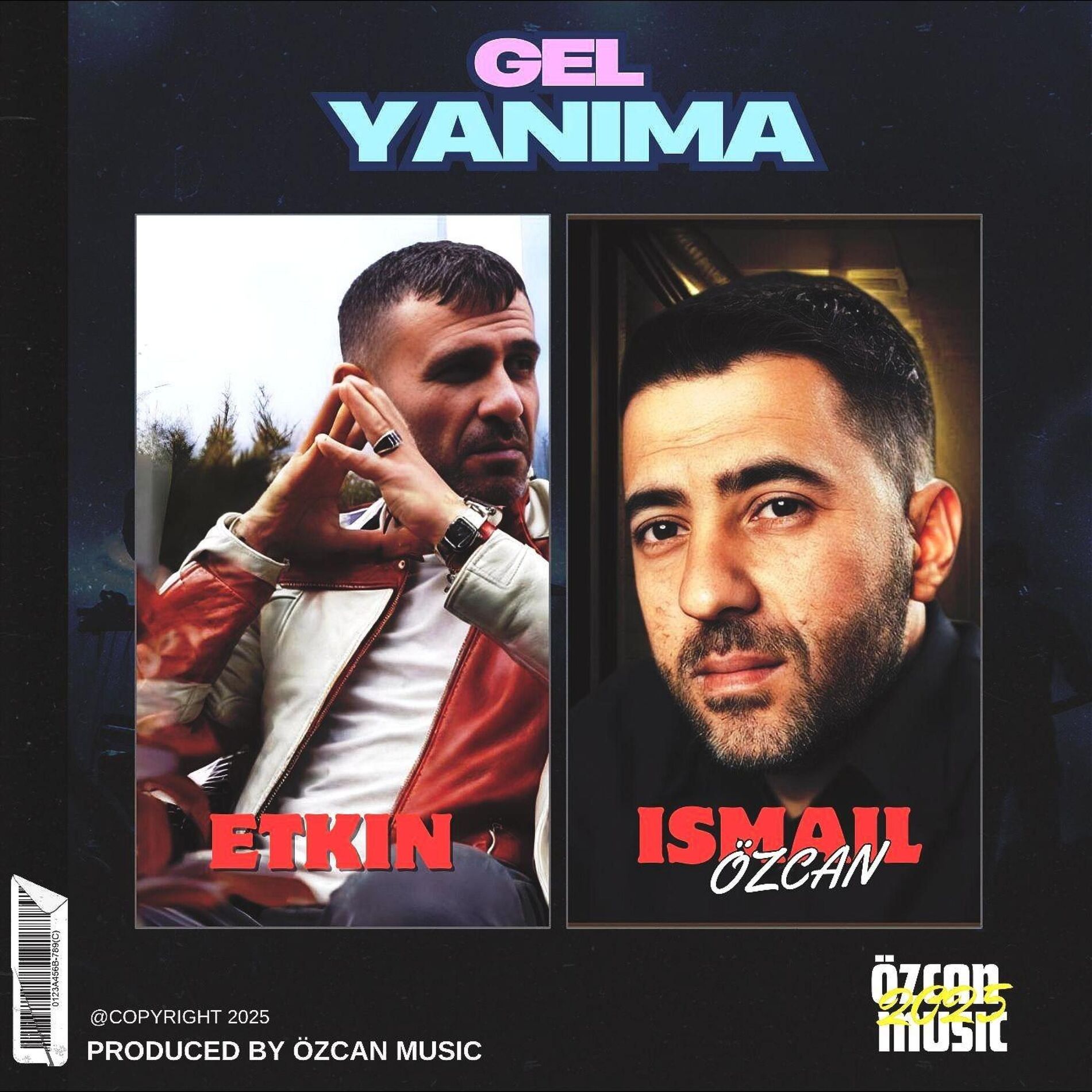 Album cover of Gel Yanıma