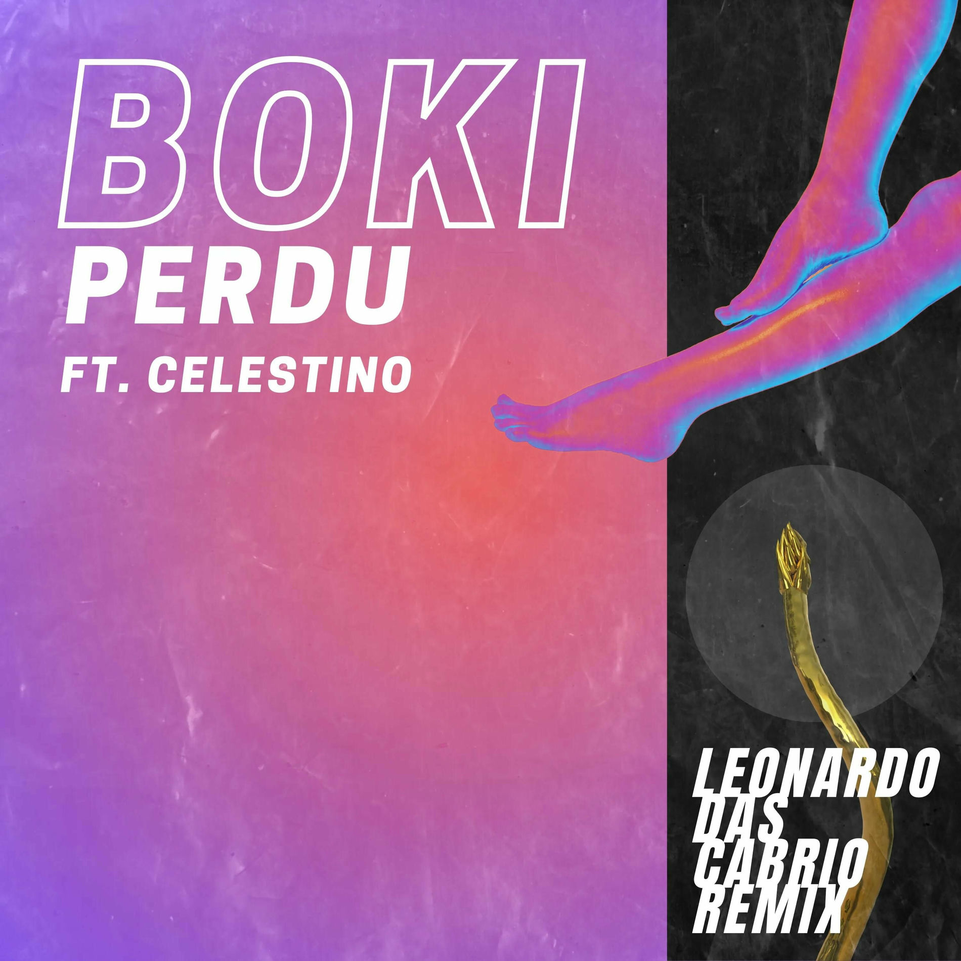 Album cover of Perdu (Leonardo Das Cabrio Remix)