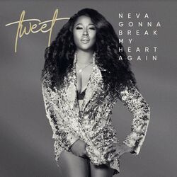Cover of Neva Gonna Break My Heart Again