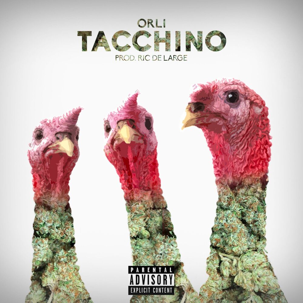Picture of Tacchino