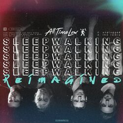 Cover of Sleepwalking Reimagined