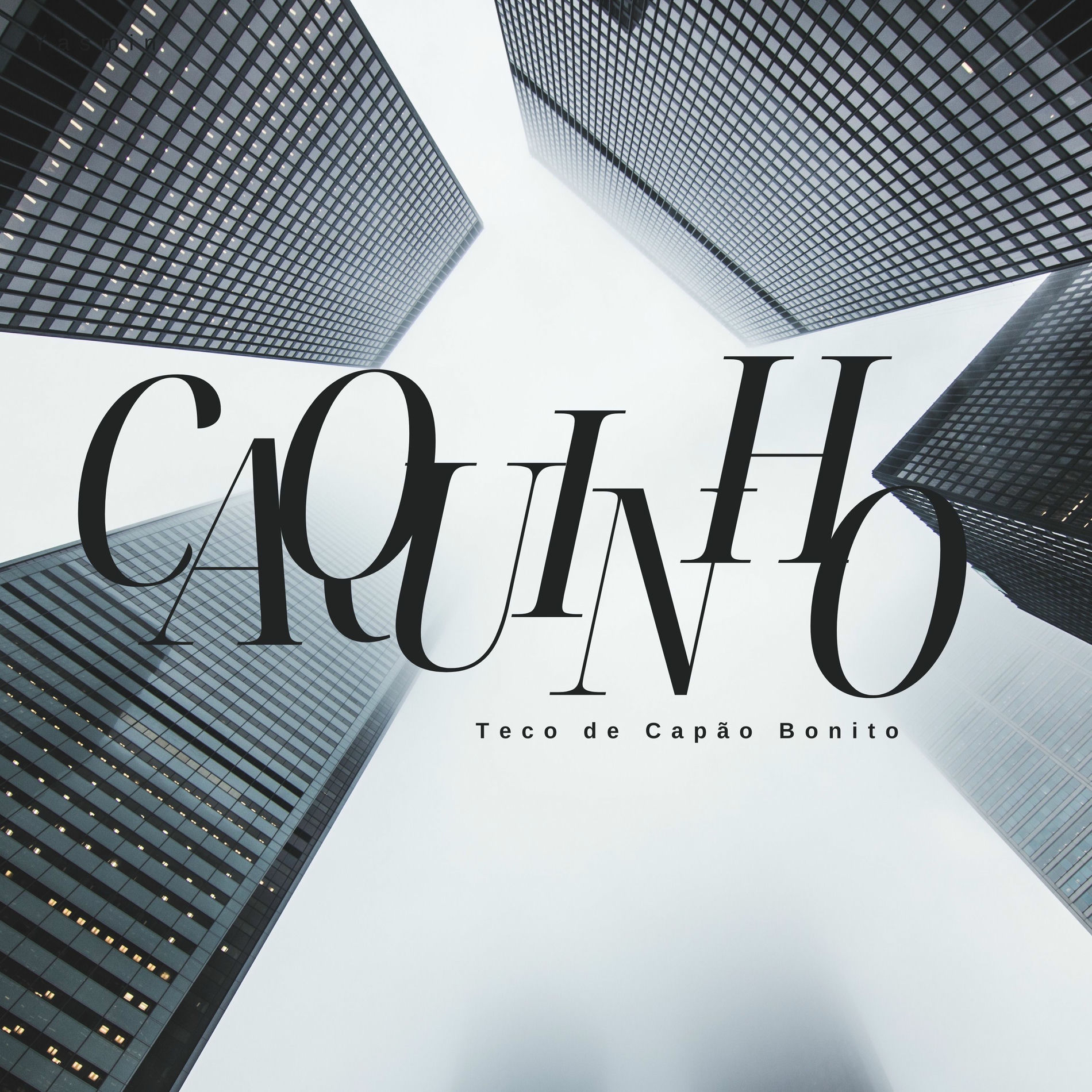 Album cover of Caquinho (Playback)