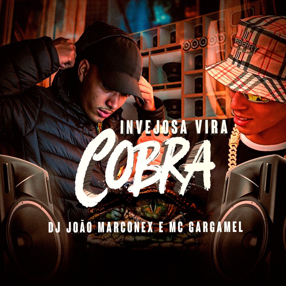 Picture of Invejosa Vira Cobra