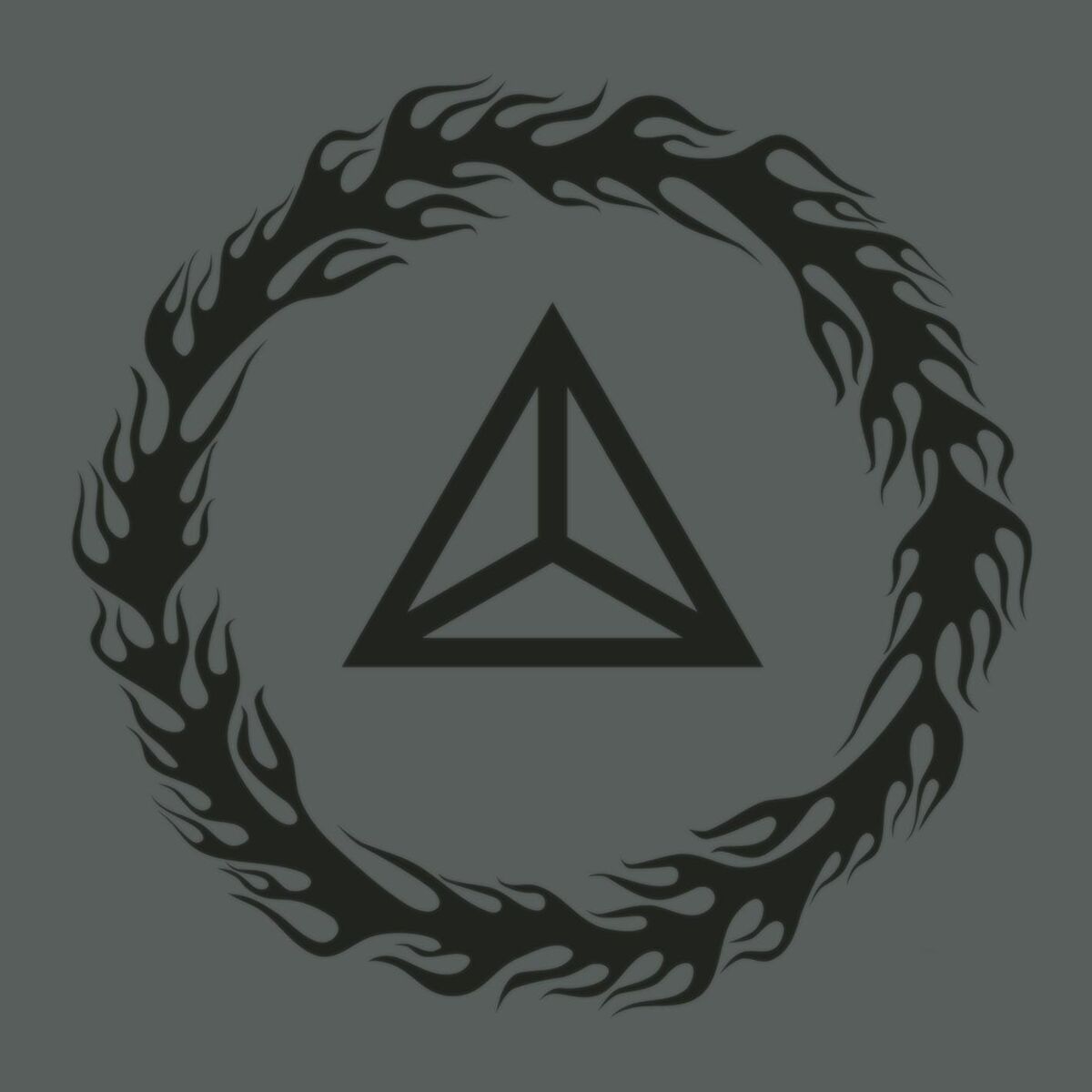 Album cover of Not Falling
