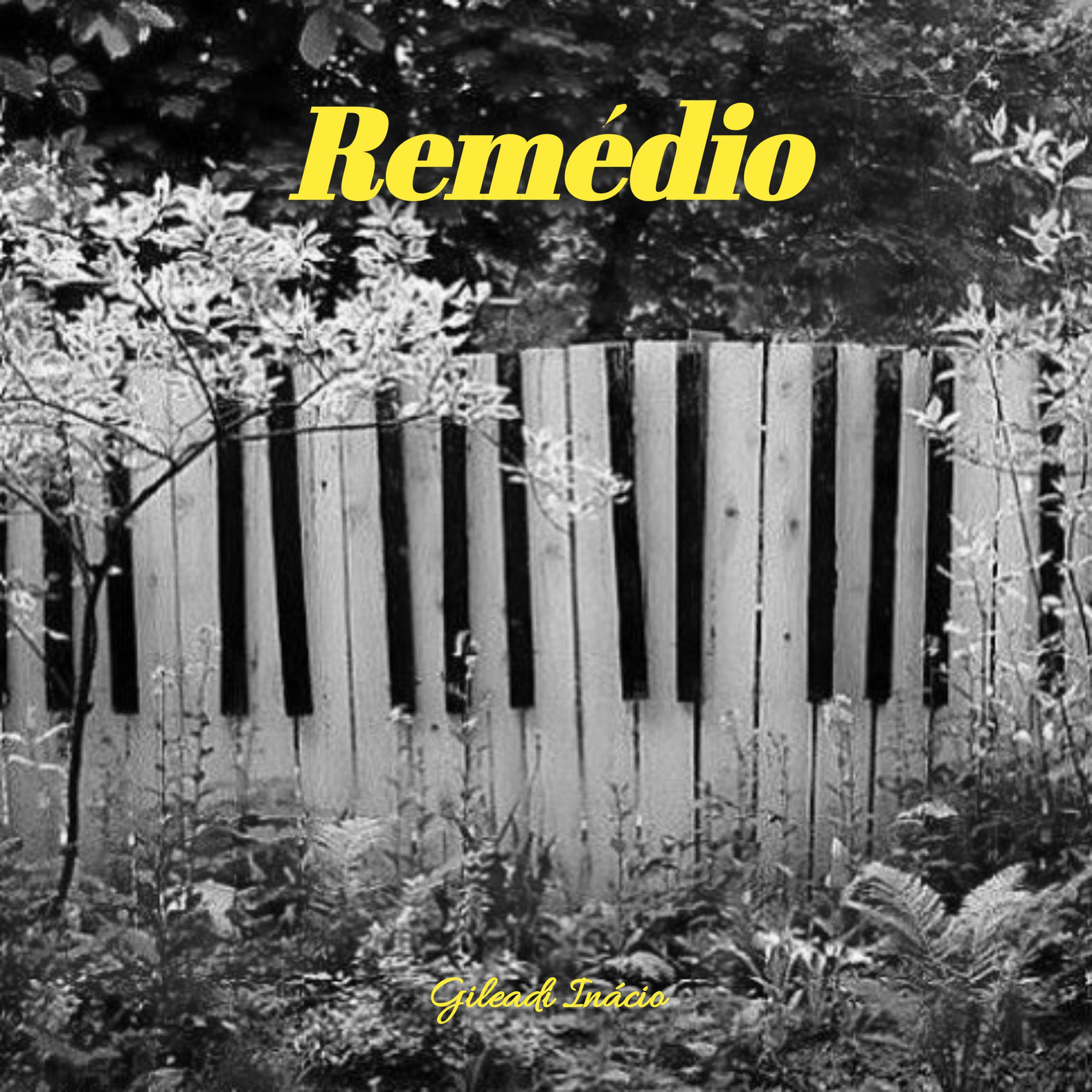 Album cover of Remédio