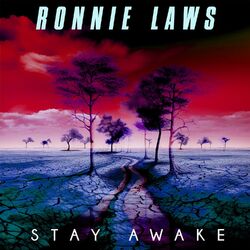 Cover of Stay Awake (Re-Recorded)