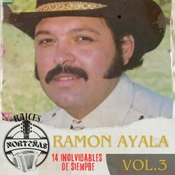 Cover of RAICES NORTEÑAS, Vol. 3 (14 Inolvidables de Siempre)