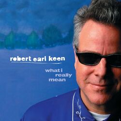 Cover of What I Really Mean