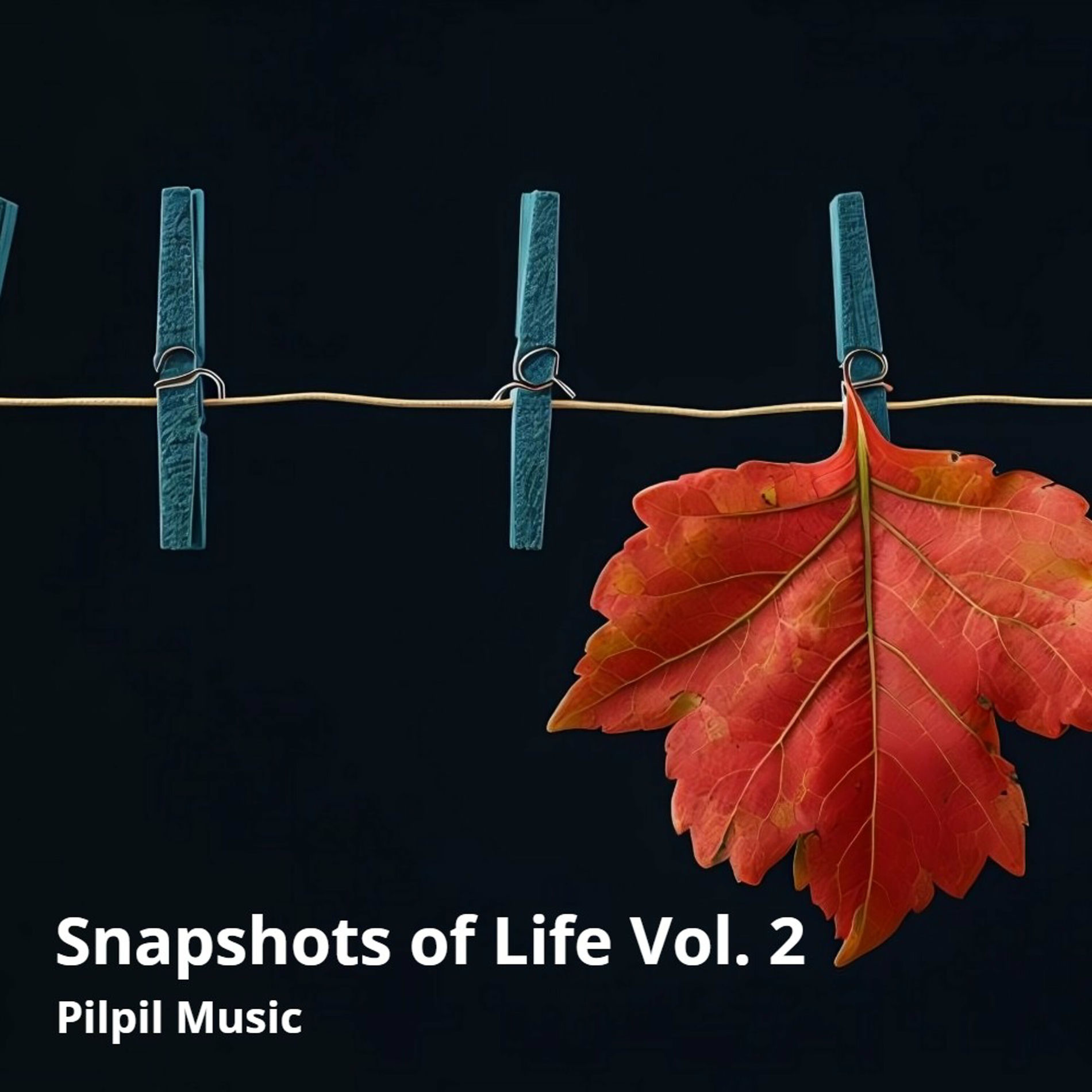 Album cover of Snapshots of Life Vol. 2