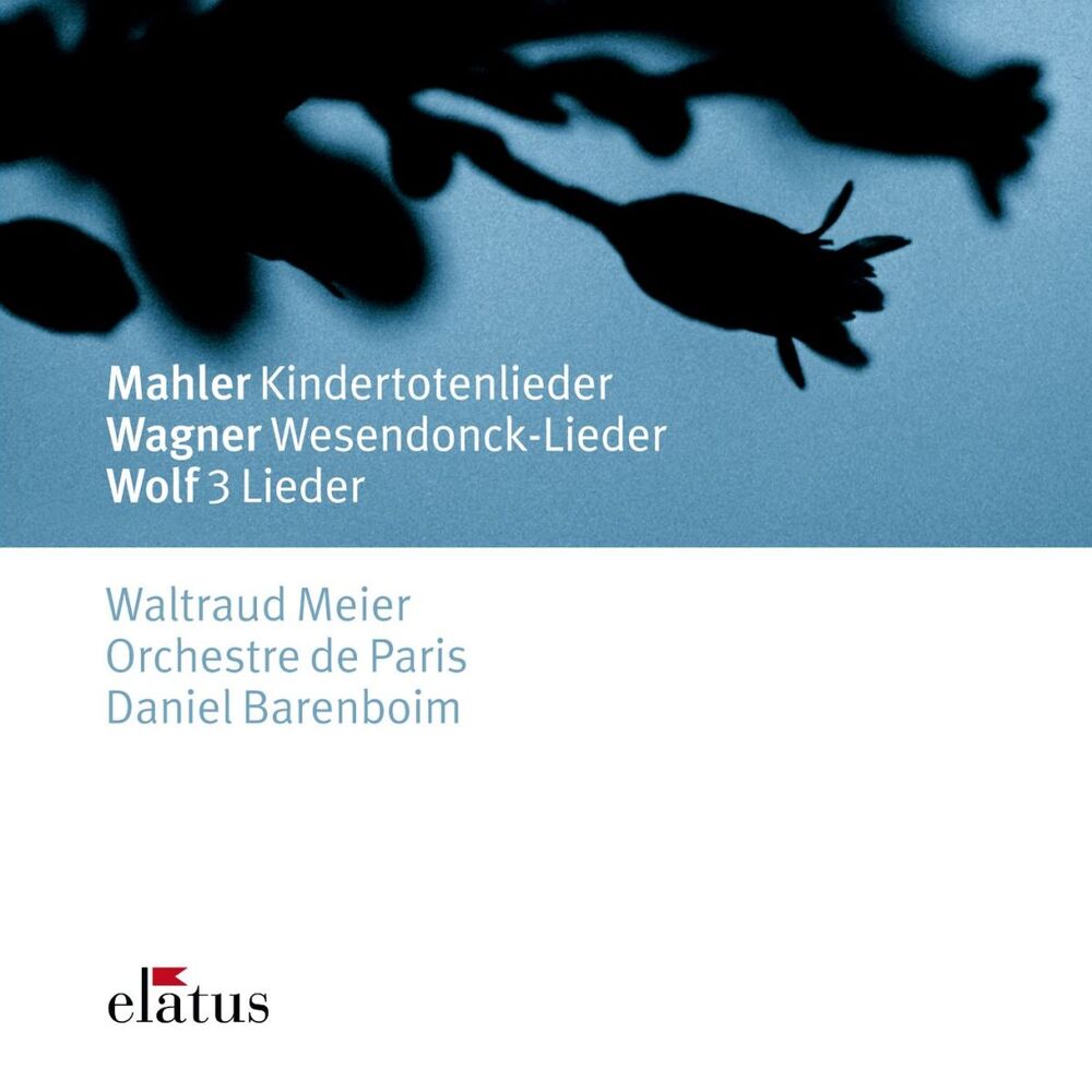 Picture of Mahler, Wagner & Wolf: Orchestral Songs