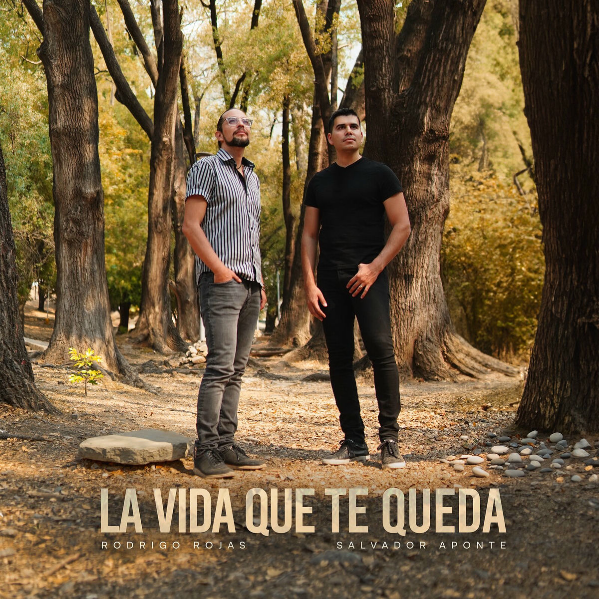Album cover of La Vida Que Te Queda