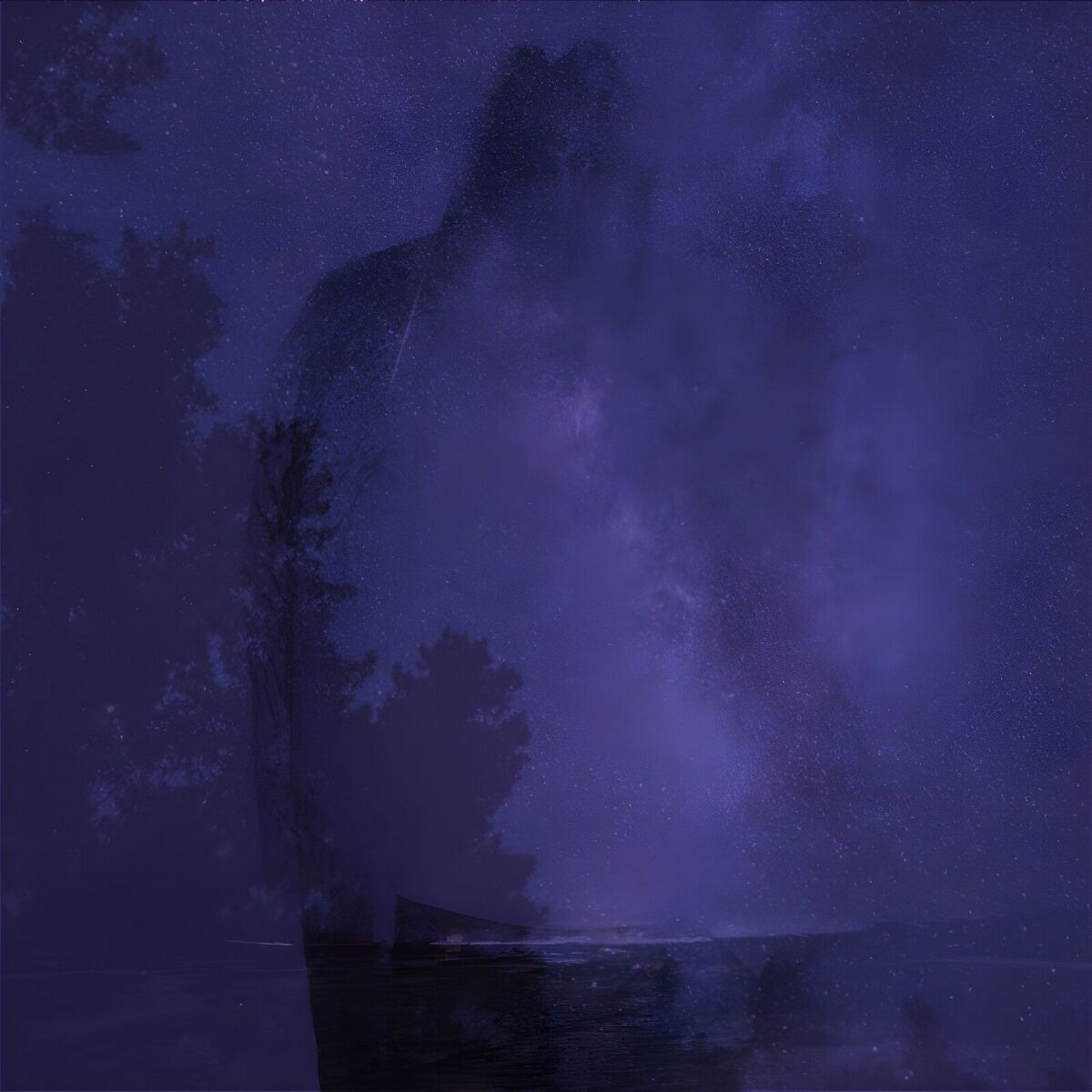Album cover of Solo’s Rebirth
