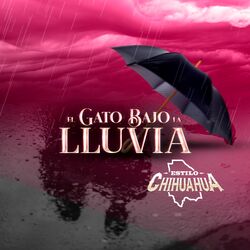 Cover of El Gato Bajo La Lluvia