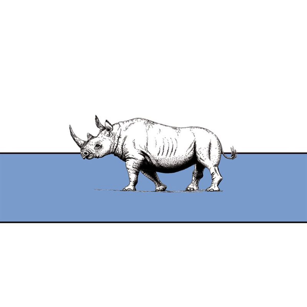 Album cover of Rhinoceros