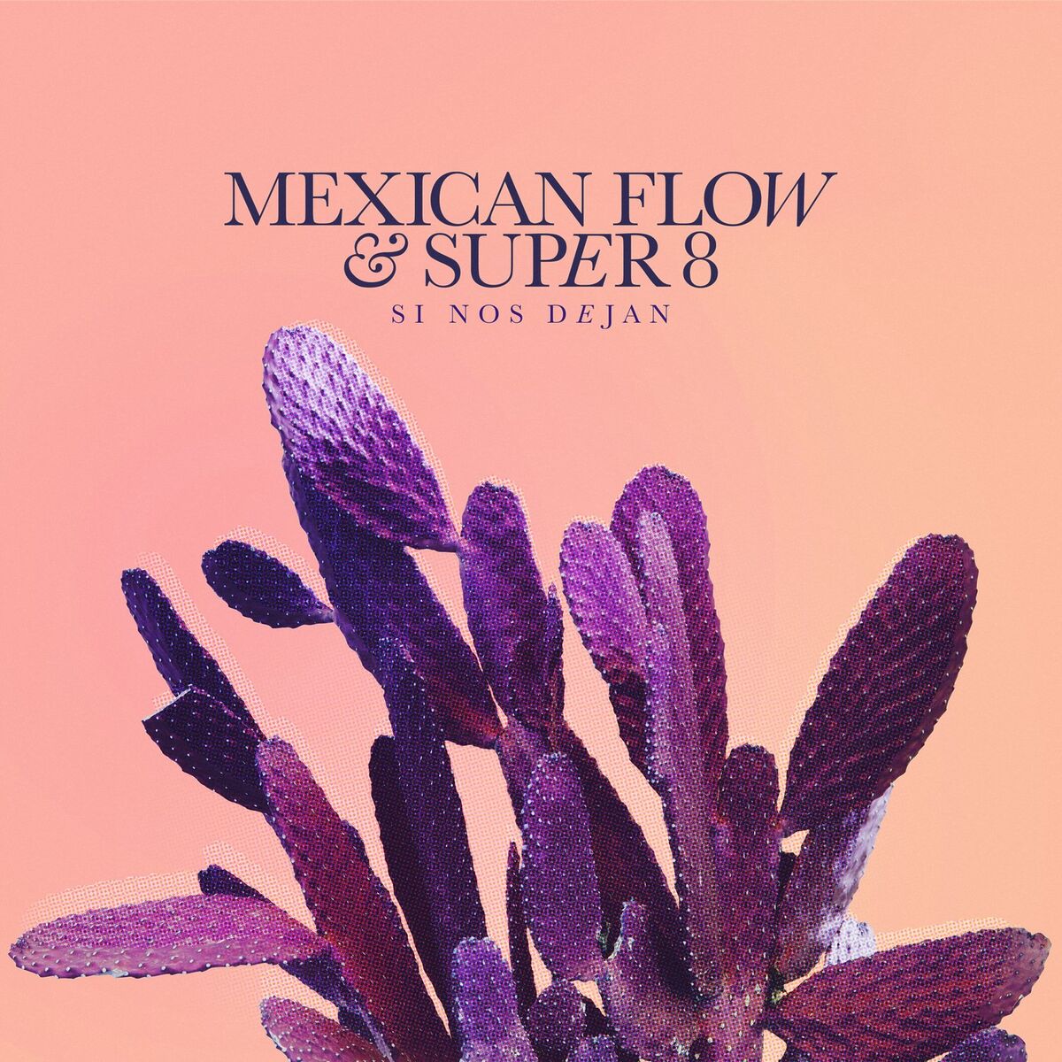 Album cover of Si Nos Dejan