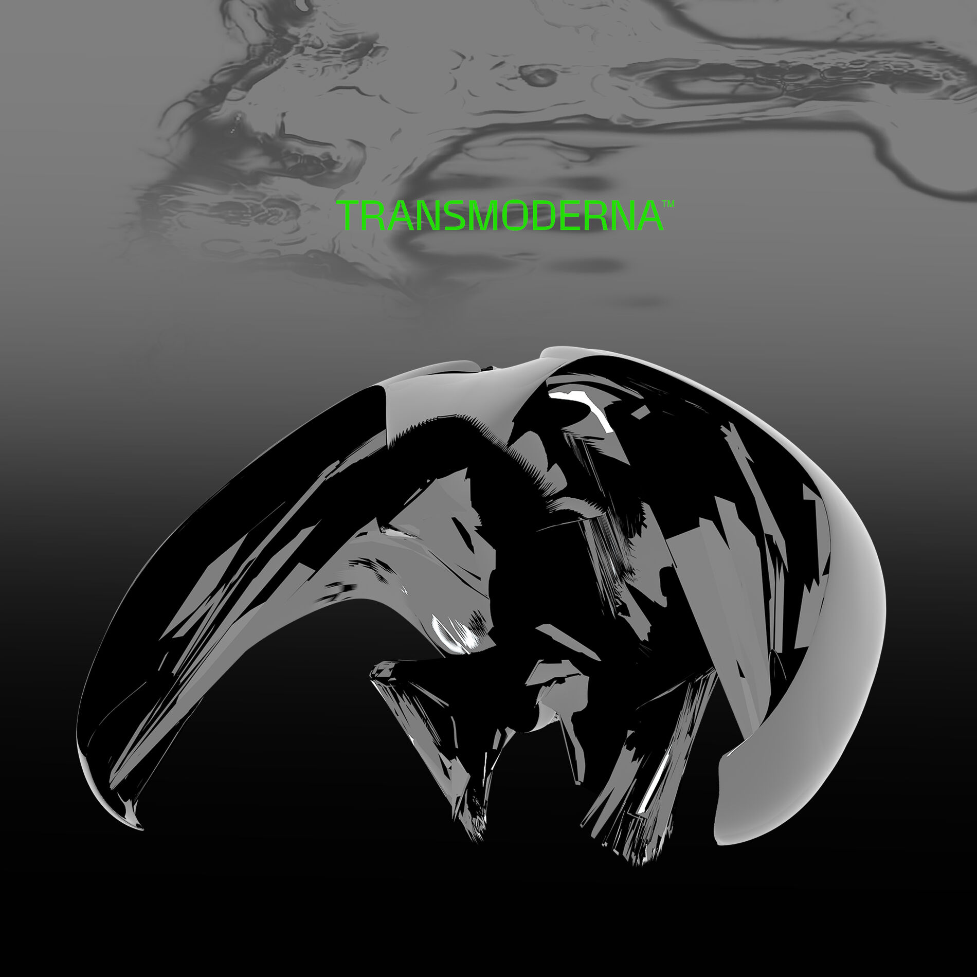 Album cover of Transmoderna