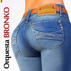 Cover of Bronko