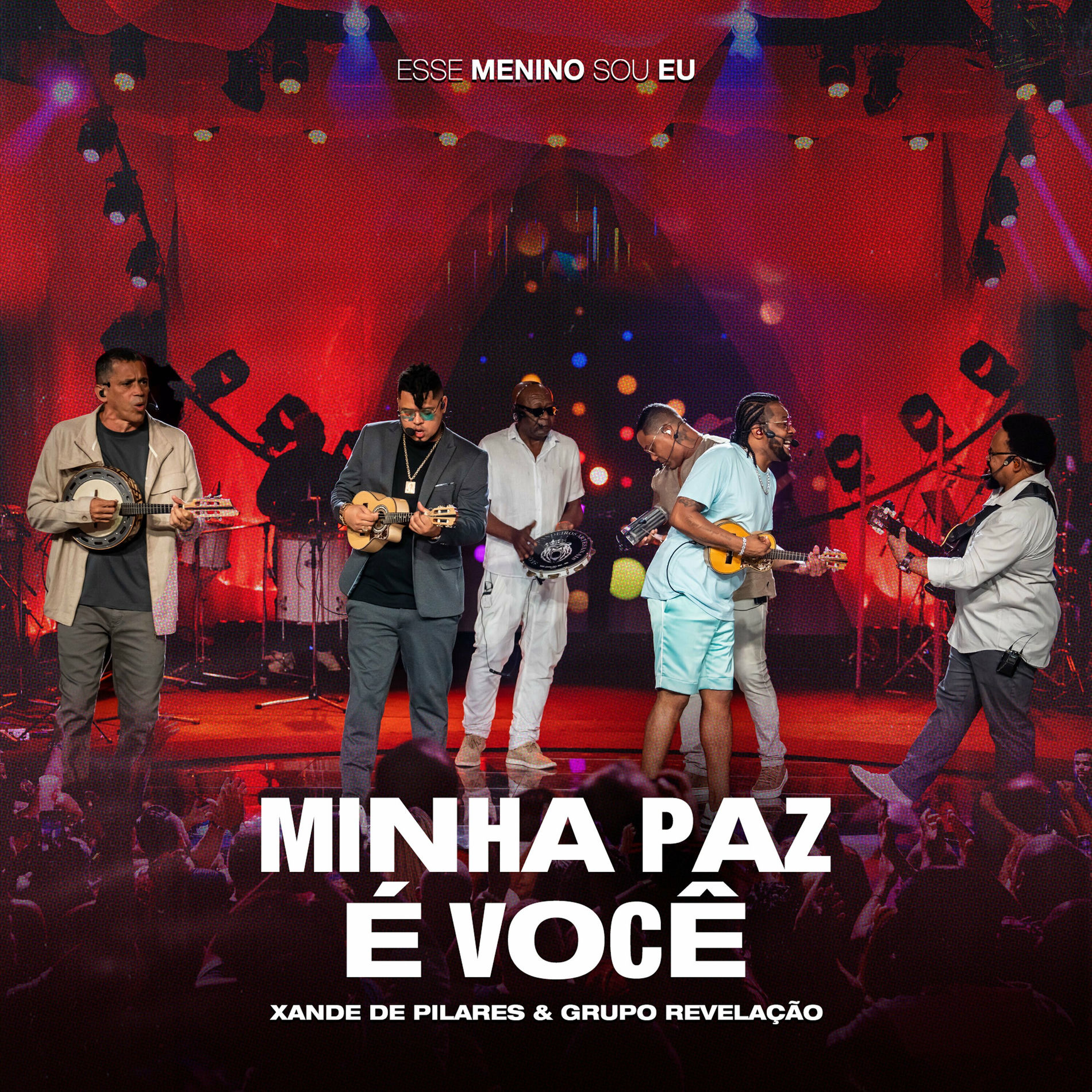 Album cover of Minha Paz É Você