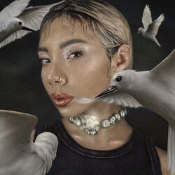Cover of Como las Aves