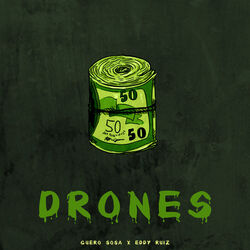 Cover of Drones
