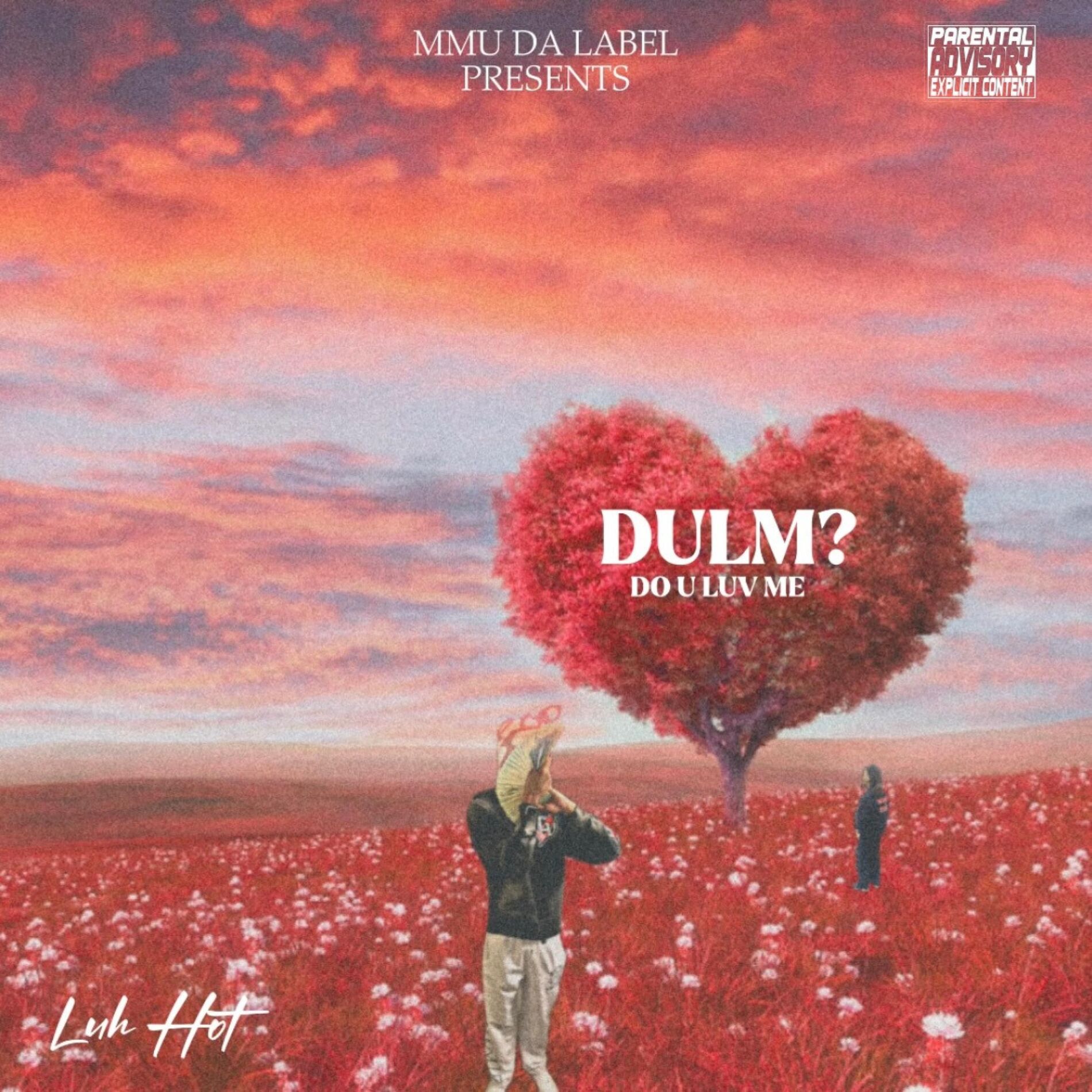 Album cover of DULM?