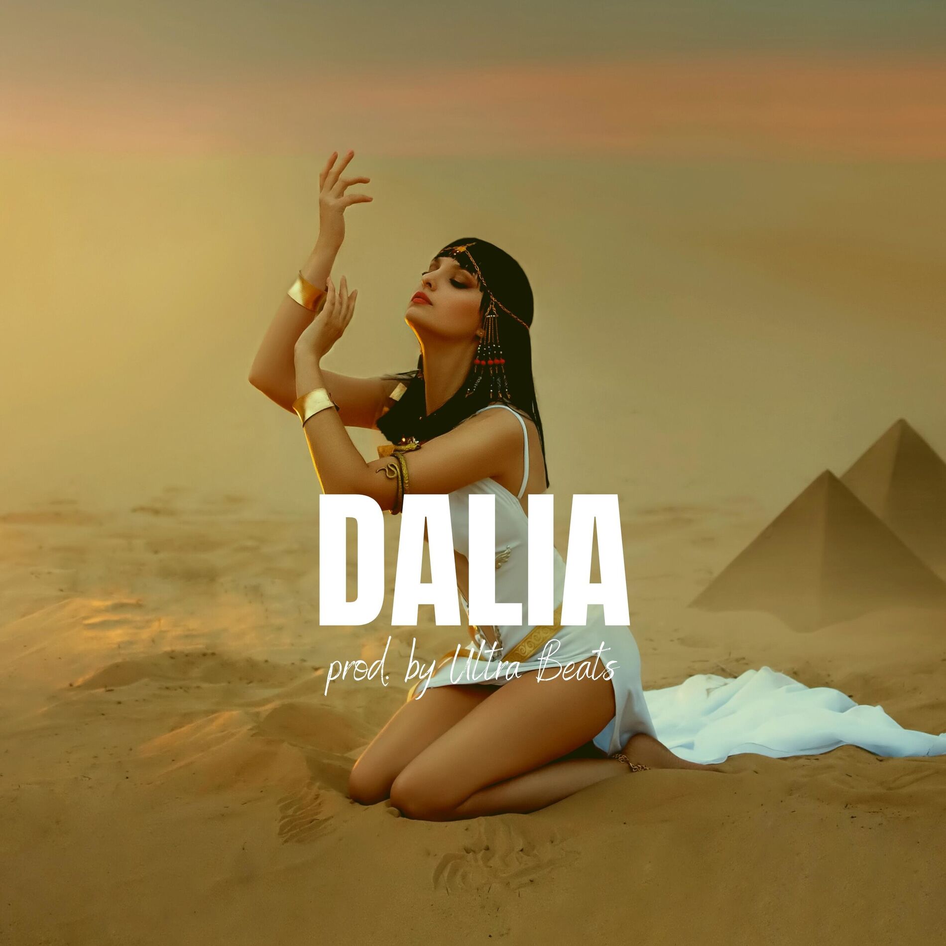 Album cover of Dalia (Instrumental)