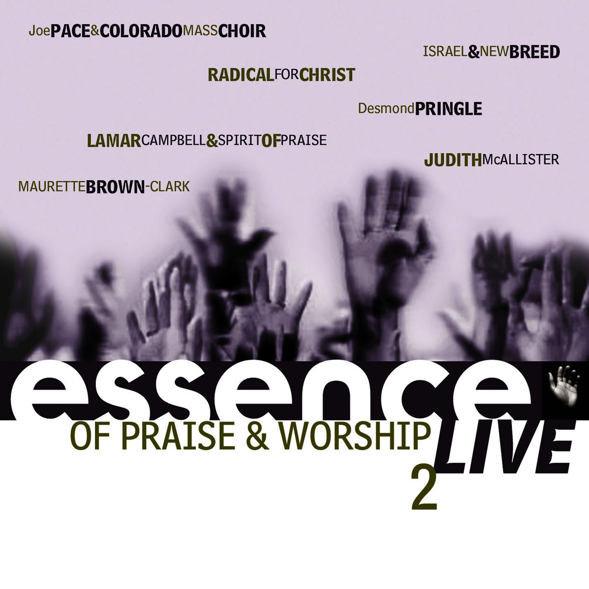 Album cover of Essence Of Praise & Worship Vol. 2