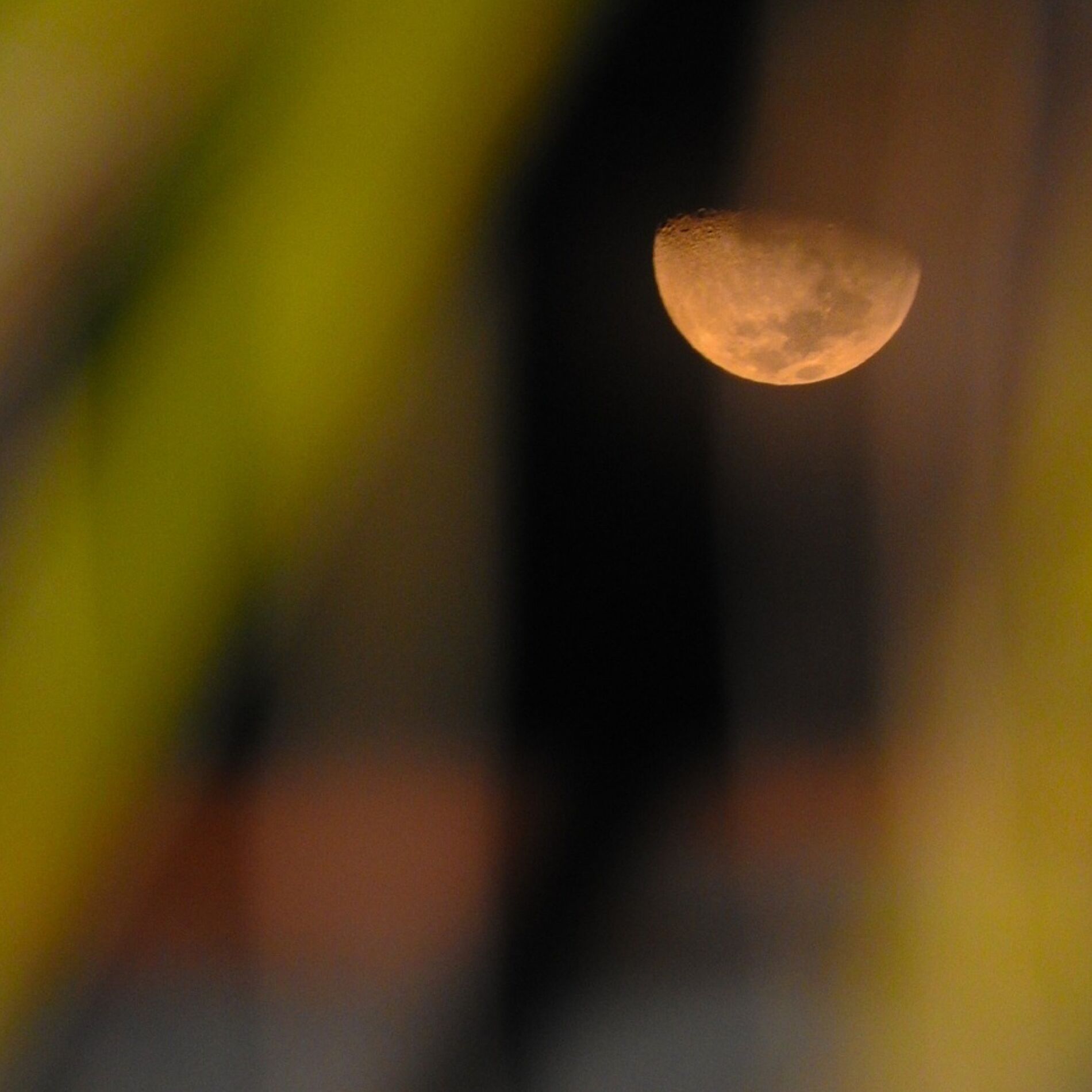 Album cover of Bad Moon Rising
