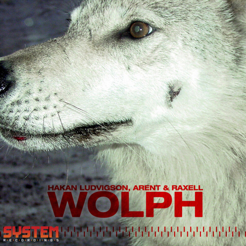 Picture of Wolph - EP