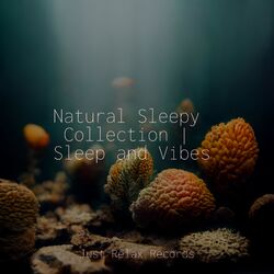 Cover of Natural Sleepy Collection | Sleep and Vibes
