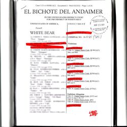 Cover of El Bichote Del Andaimer