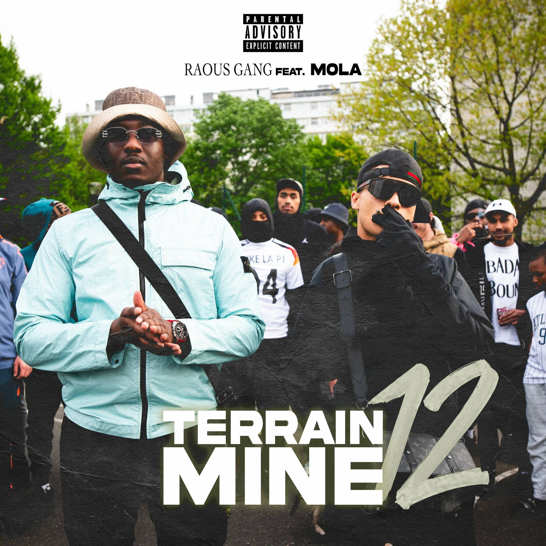 Album cover of Terrain miné 12