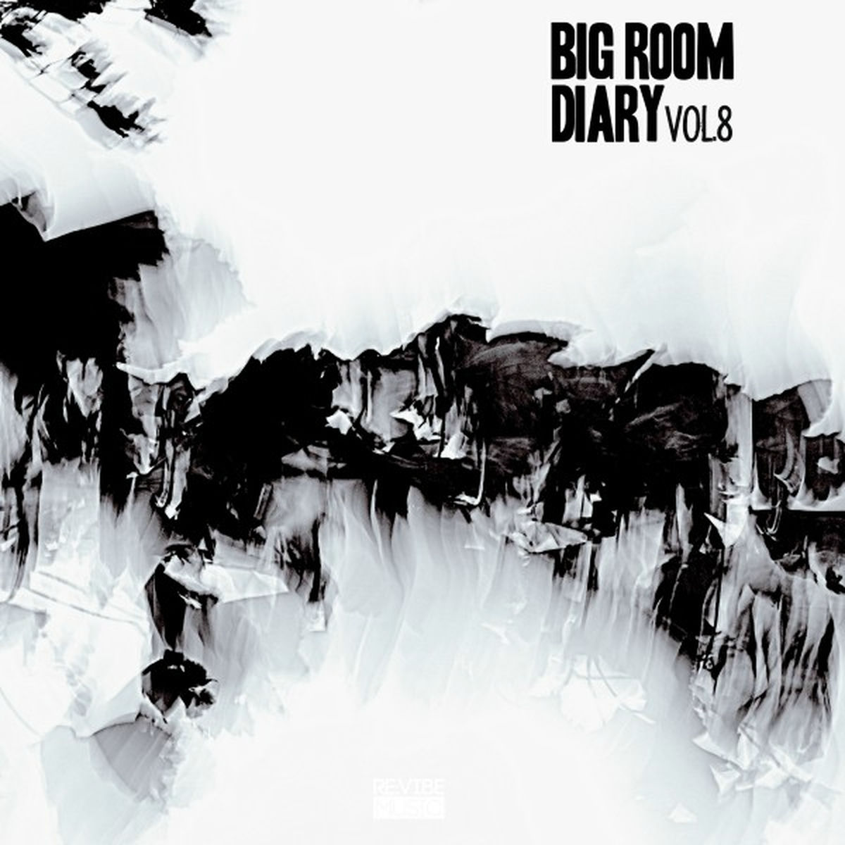 Album cover of Big Room Diary, Vol. 8