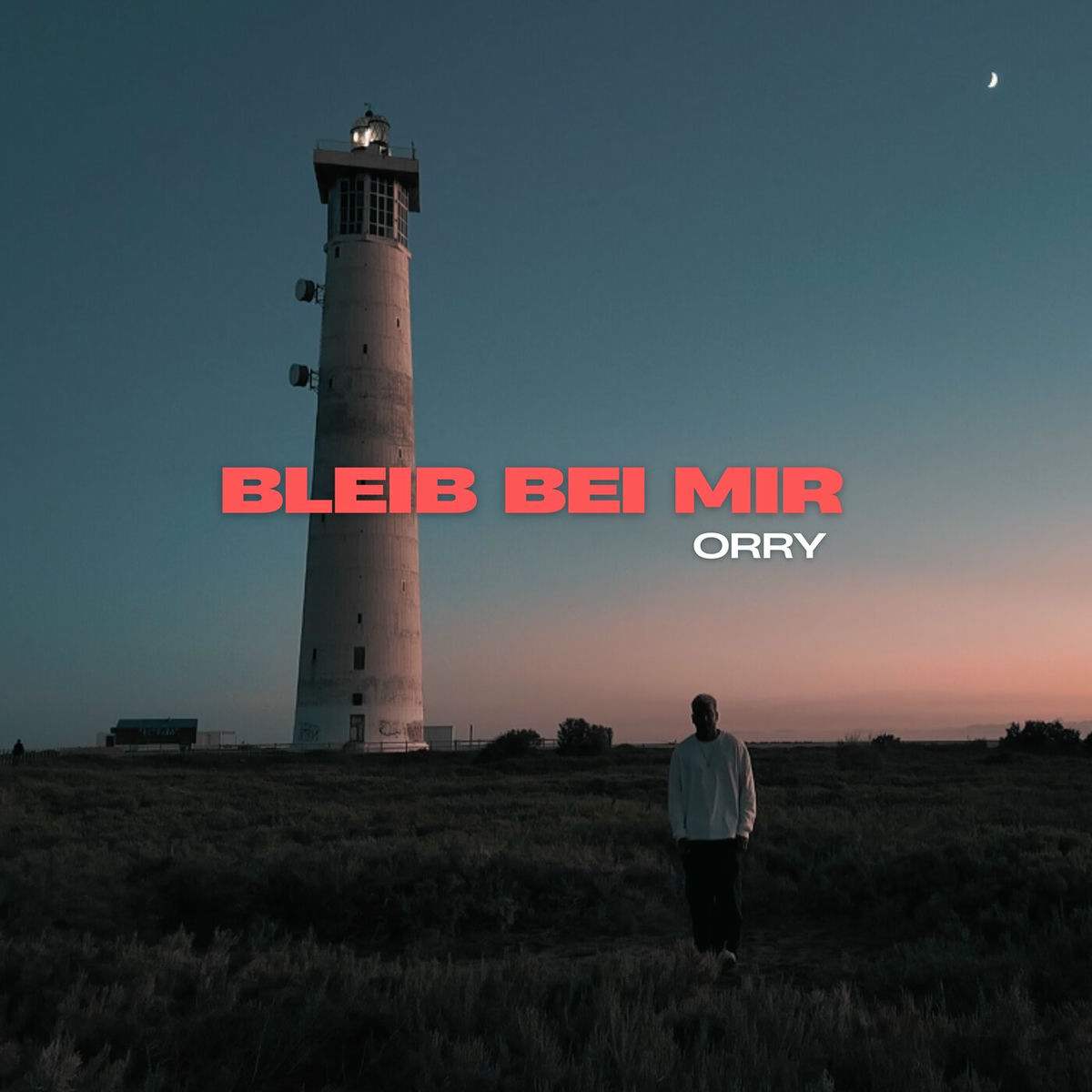 Album cover of Bleib bei mir