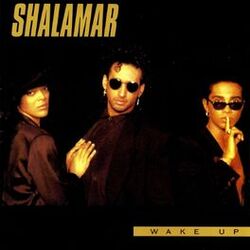 Cover of Wake Up