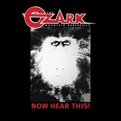Cover of Now Hear This!