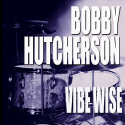 Cover of Vibe Wise
