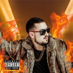 Cover of Roast Yourself