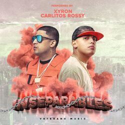 Cover of Inseparables