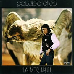 Cover of Poludjela Ptica