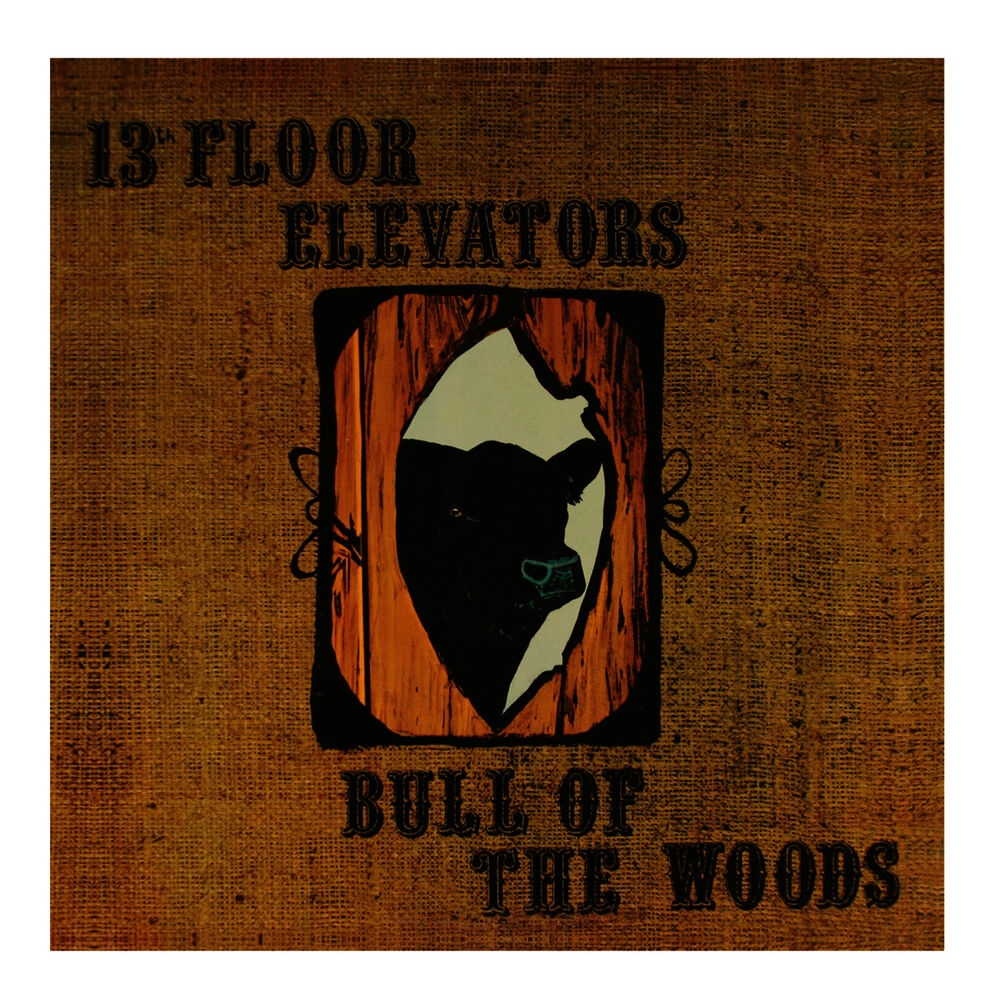 Picture of Bull of the Woods