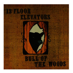Cover of Bull of the Woods