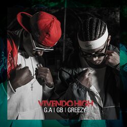 Cover of Vivendo High