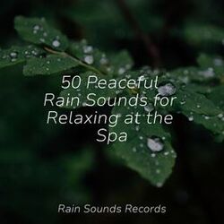 Cover of 50 Peaceful Rain Sounds for Relaxing at the Spa