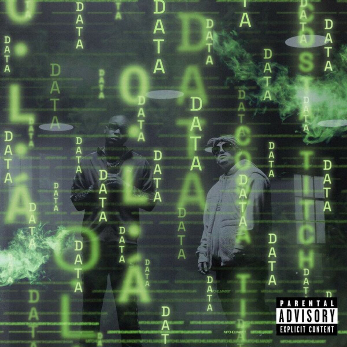 Album cover of Data